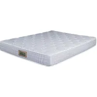 Asteria Essential Trundle California King Mattress Only  - 100% Exclusive