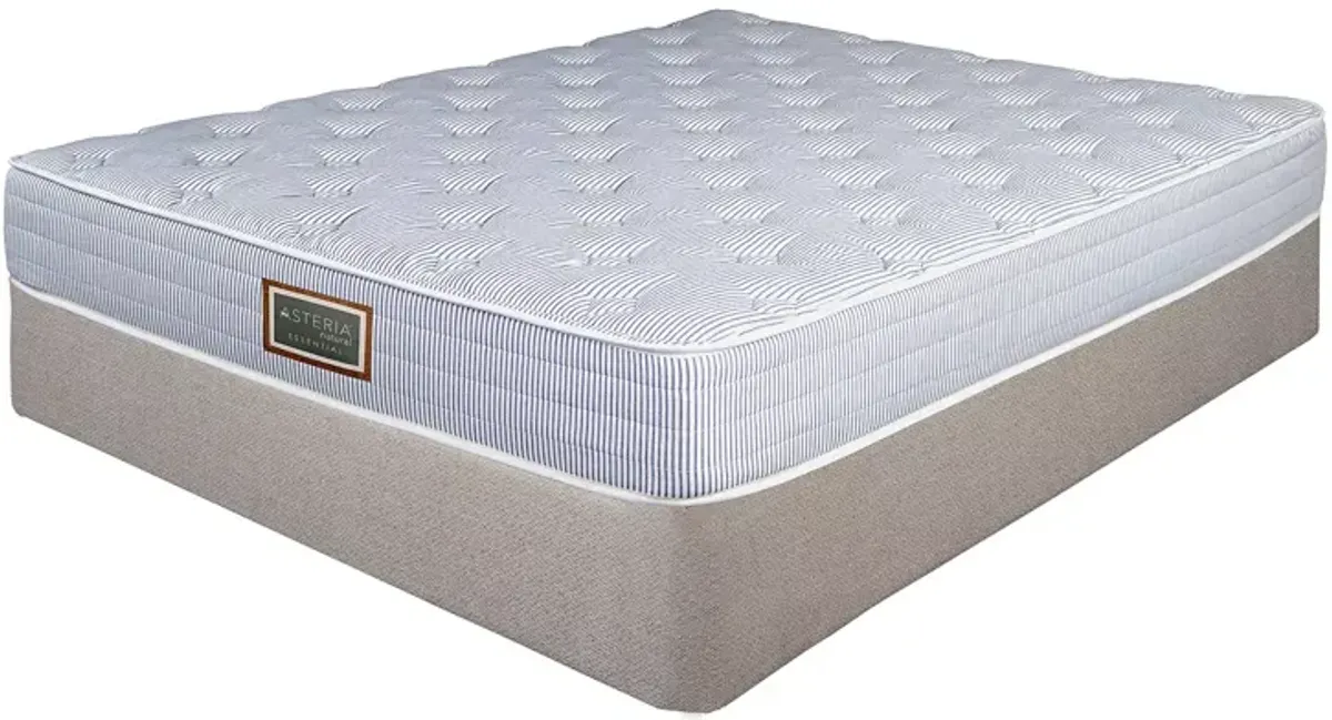 Asteria Essential Trundle Twin Mattress and Box Spring Set  - Exclusive