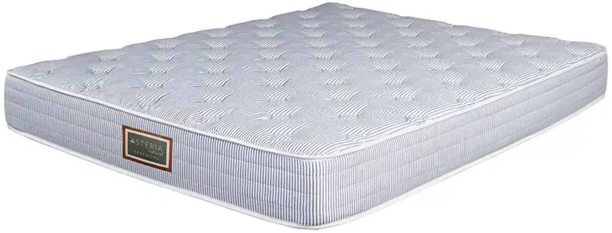 Asteria Essential Trundle Twin Mattress and Box Spring Set  - Exclusive