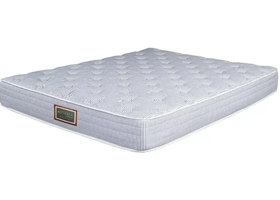 Asteria Essential Trundle Full Mattress and Box Spring Set  - 100% Exclusive