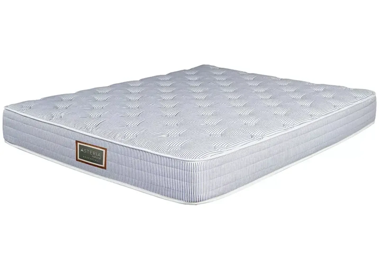 Asteria Essential Trundle Full Mattress and Box Spring Set  - Exclusive