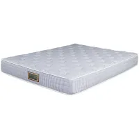 Asteria Essential Trundle Full Mattress and Box Spring Set  - 100% Exclusive