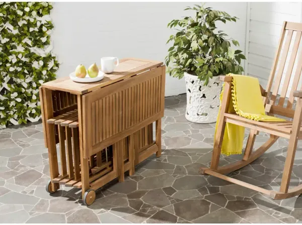 SAFAVIEH Arvin Outdoor Dining Set