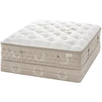 Kluft Palais Champagne Queen Mattress Set with 6" Low Profile Box Spring
