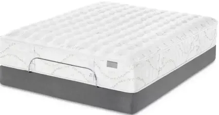 Kluft Crown Latex Agate Firm Twin Mattress & Low Profile Box Spring Set