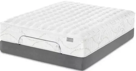 Kluft Crown Latex Agate Firm California King Mattress & Low Profile Box Spring Set