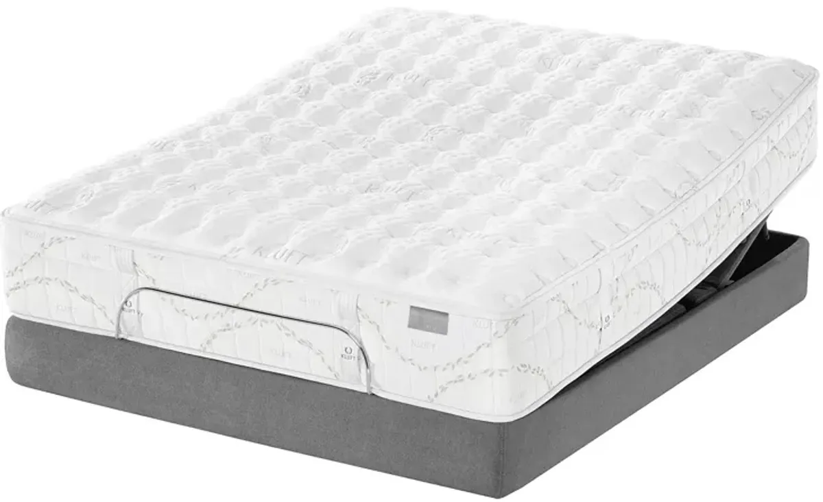 Kluft Crown Latex Emerald Luxury Firm Twin Mattress & Standard Box Spring Set