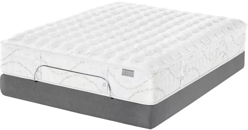 Kluft Crown Latex Emerald Luxury Firm California King Mattress & Standard Box Spring Set