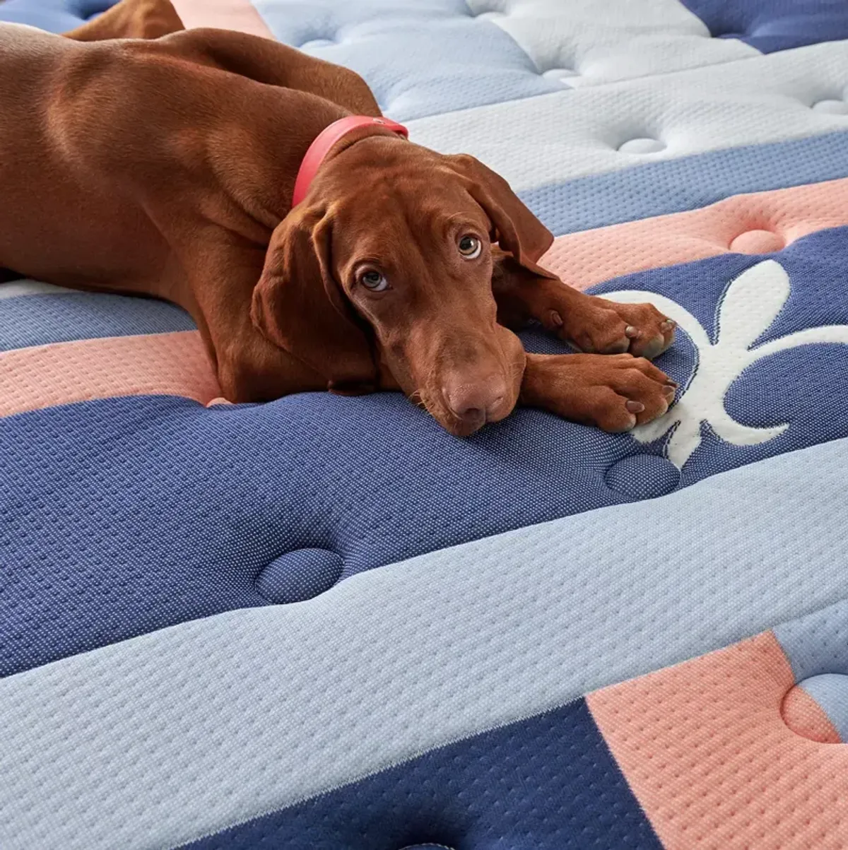 Stearns & Foster Lux Estate Reserve Duet Firm Queen Mattress Set