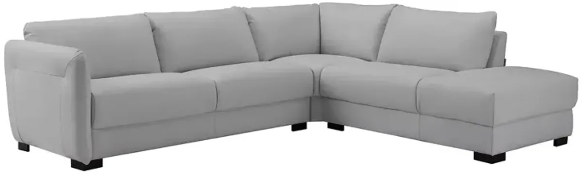 Chateaux d'Ax Pavia Leather Sectional Sofa
