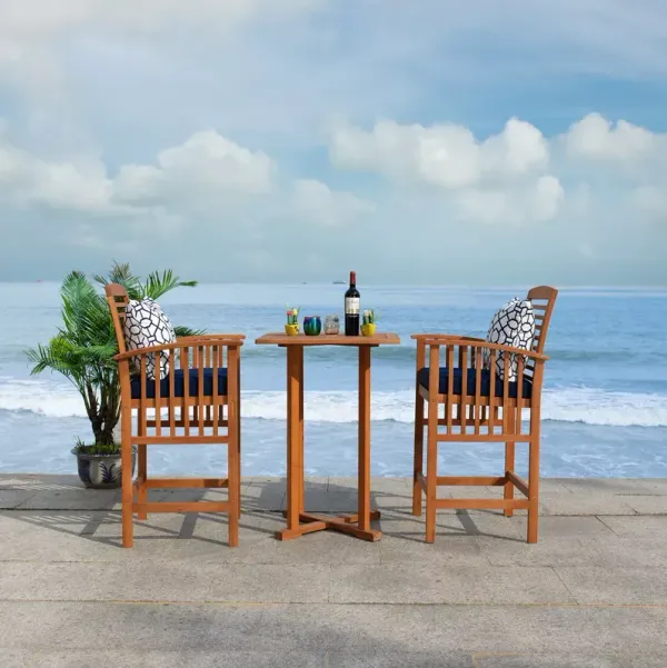 SAFAVIEH Pate 3 Piece Outdoor Bistro Set with Accent Pillows