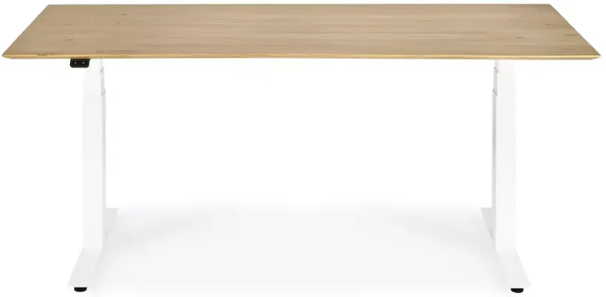 Ethnicraft Bok Adjustable Desk 