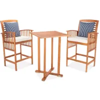 SAFAVIEH Pate 3 Piece Outdoor Bistro Set with Accent Pillows