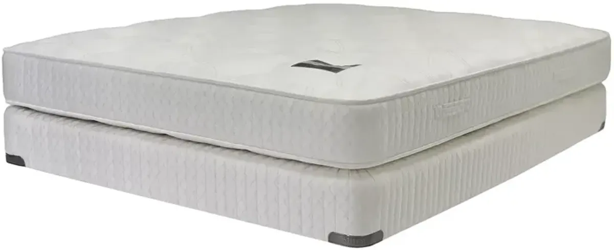 Shifman 35th Anniversary Firm Twin Mattress - Exclusive