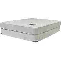 Shifman 35th Anniversary Firm Queen Mattress & 6"Low Profile Box Spring Set - 100% Exclusive