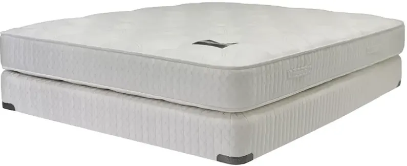 Shifman 35th Anniversary Firm Queen Mattress & 6"Low Profile Box Spring Set - 100% Exclusive