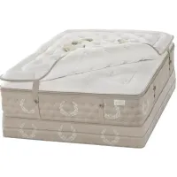 Kluft Palais Champagne Luxury Mattress Topper, King - 100% Exclusive