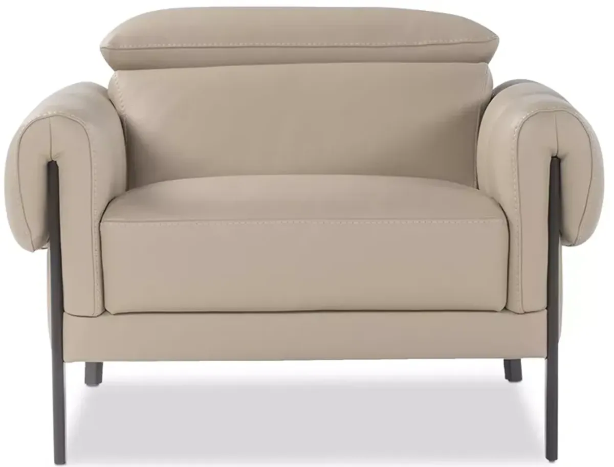 Giuseppe Nicoletti Falco Armchair