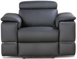 bull 100 black color