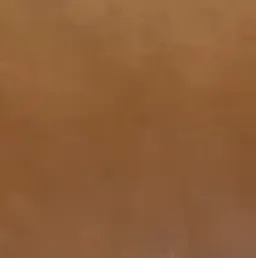 dorn caramel color