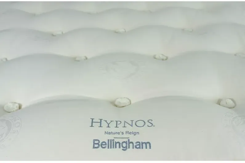 Hynos Nature's Reign Bellingham Plush Euro Top Twin XL Mattress - 100% Exclusive