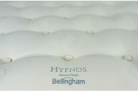 Hypnos Nature's Reign Bellingham Plush Euro Top California King Mattress - 100% Exclusive