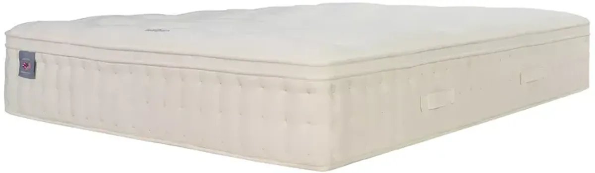 Hypnos Nature's Reign Bellingham Plush Euro Top King Mattress & Box Spring Set - Exclusive