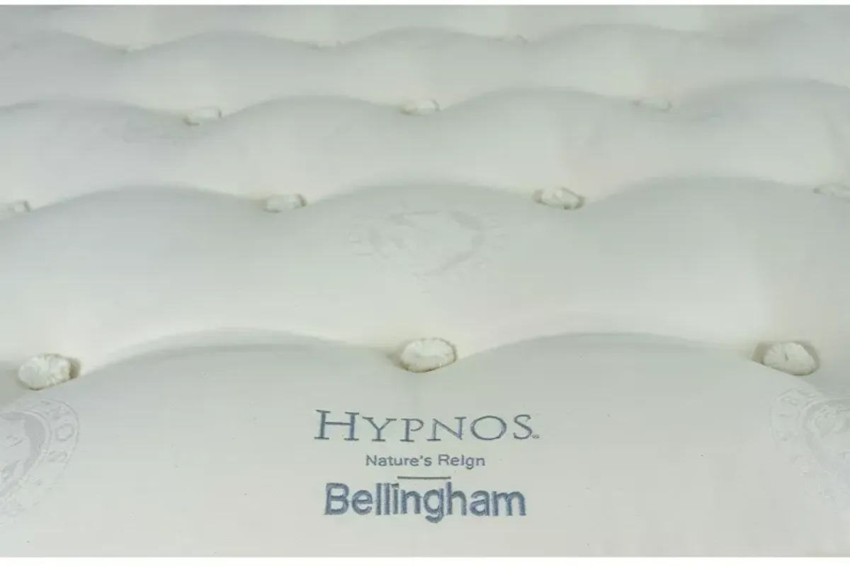 Hypnos Nature's Reign Bellingham Plush Euro Top King Mattress & Box Spring Set - Exclusive