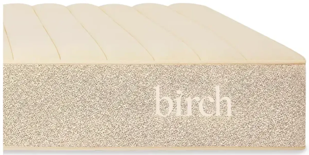 Helix Birch Natural 11" Twin XL Mattress