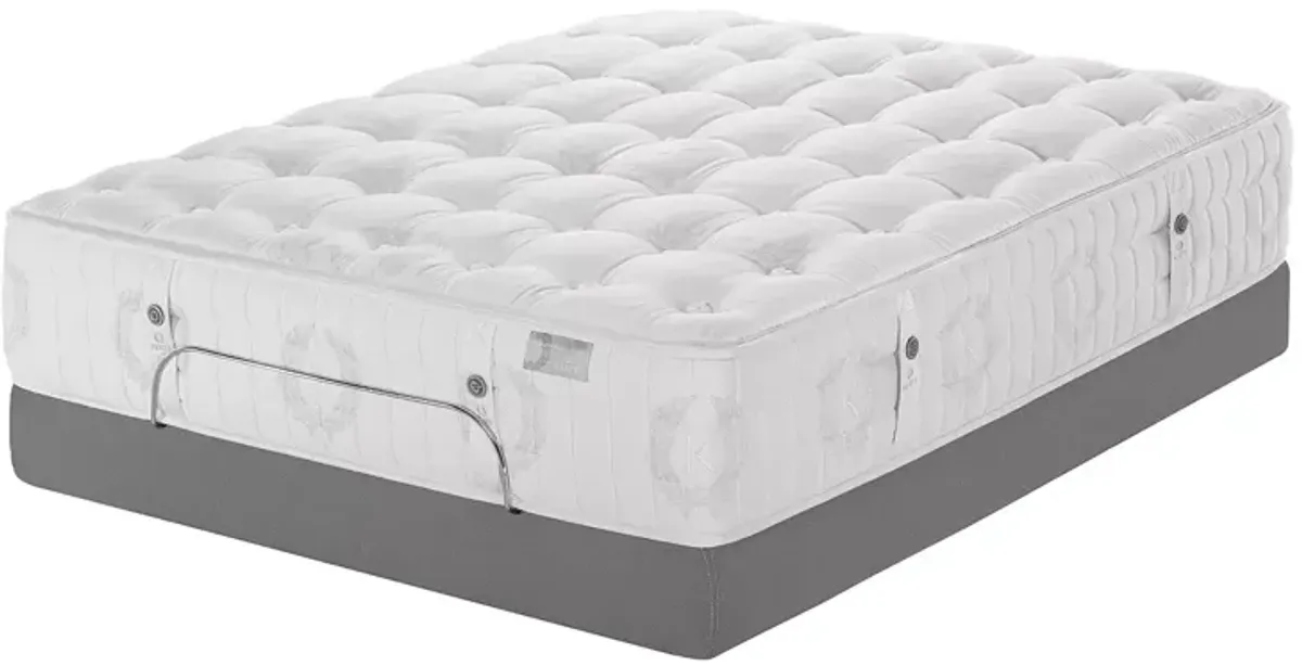 Kluft Signature Begonia Firm Twin Mattress - Exclusive