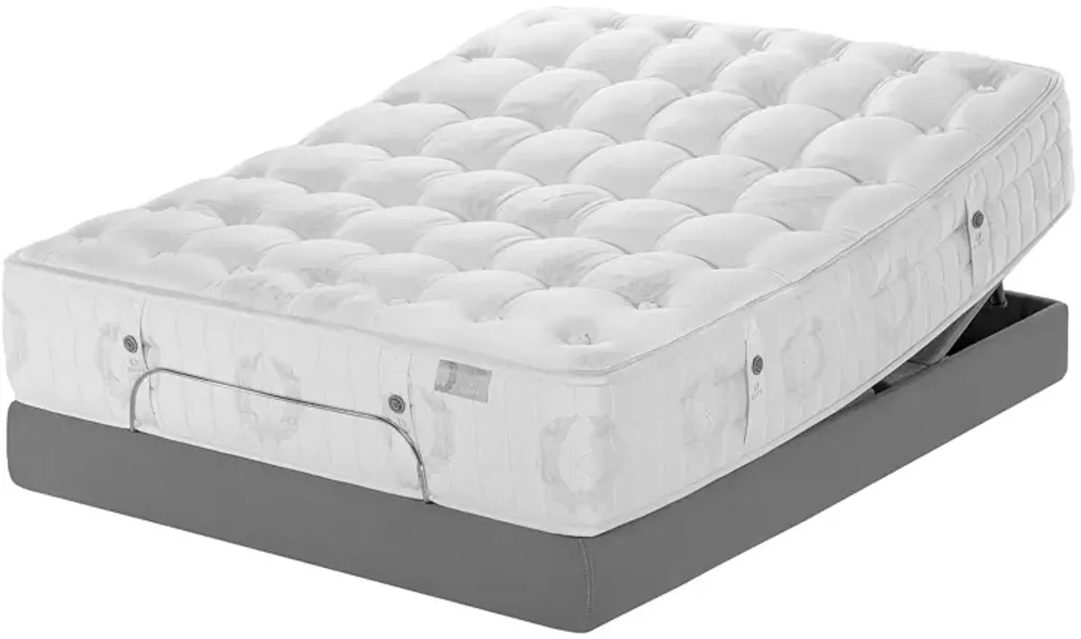 Kluft Signature Begonia Firm Twin Mattress - Exclusive