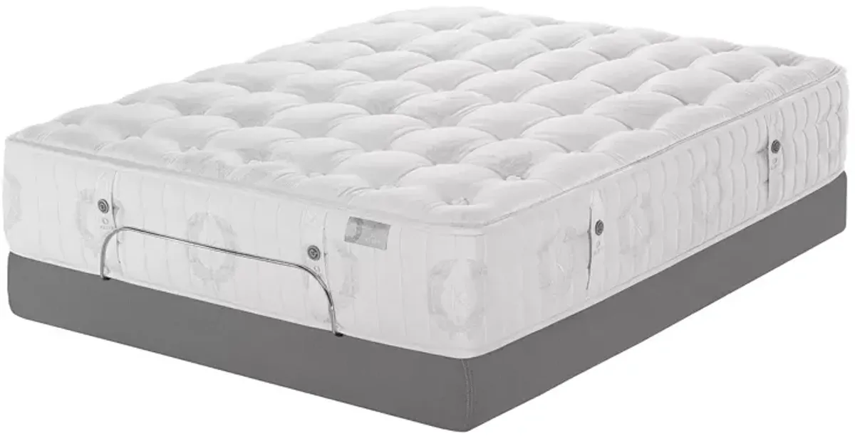 Kluft Signature Begonia Firm Twin Mattress - Exclusive