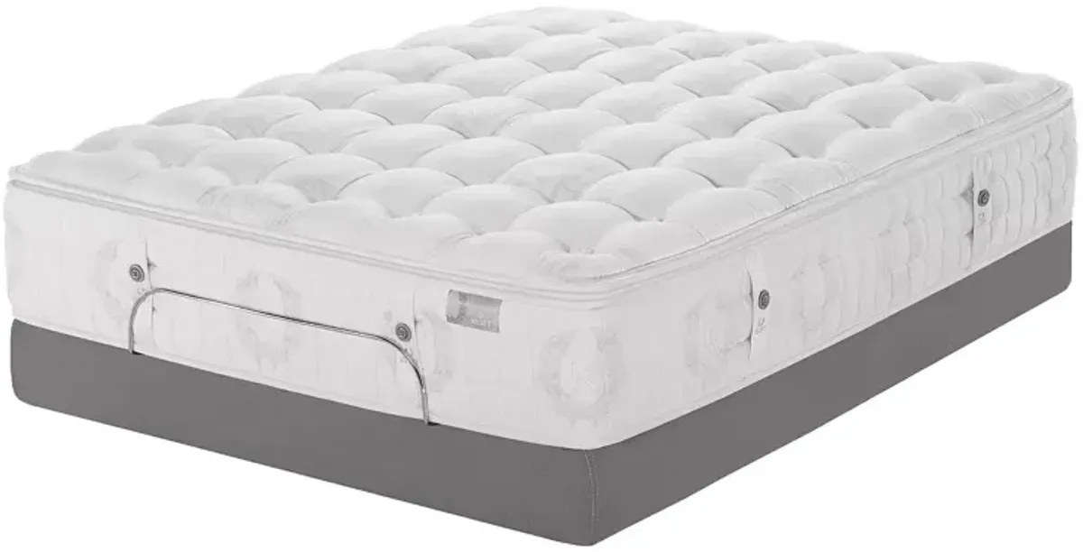 Kluft Signature Camellia Luxury Firm King Mattress - Exclusive