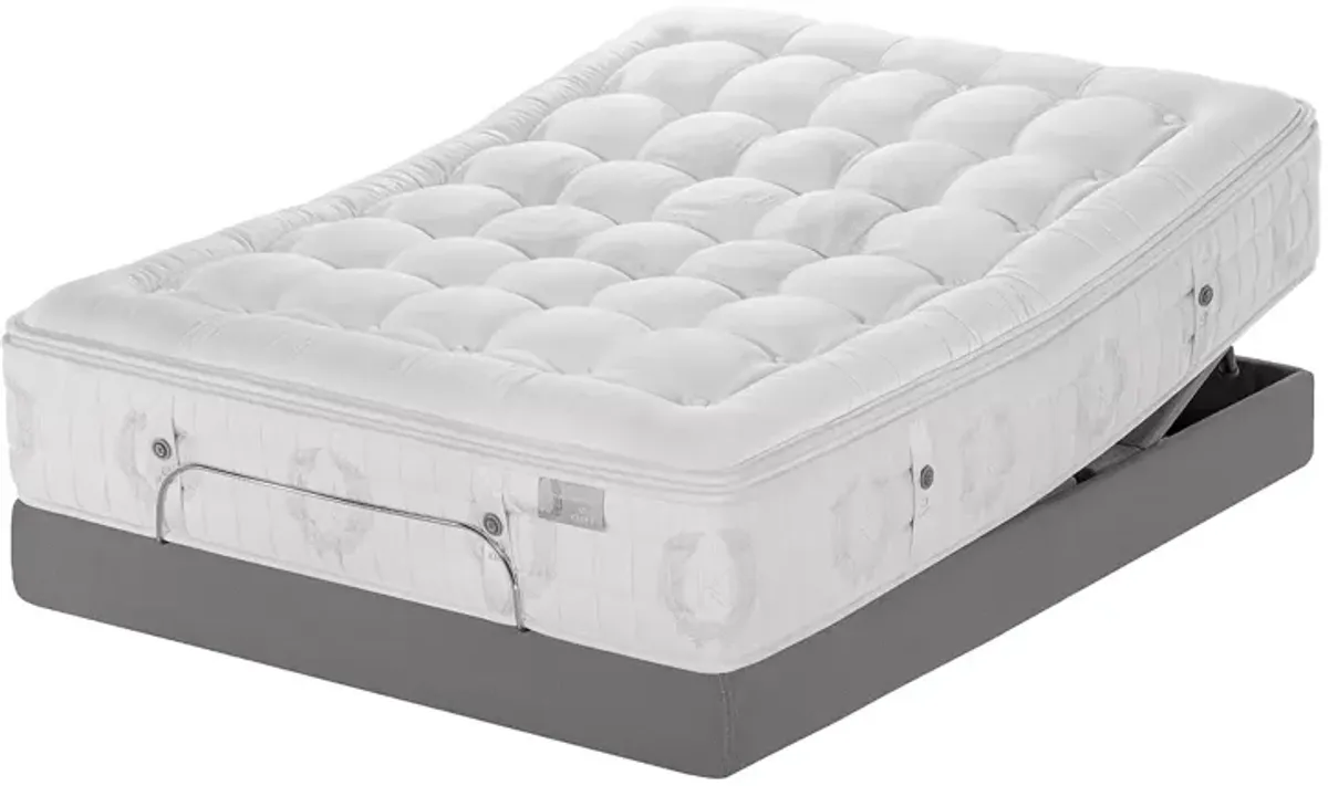 Kluft Signature Orchid Plush Twin XL Mattress - Exclusive