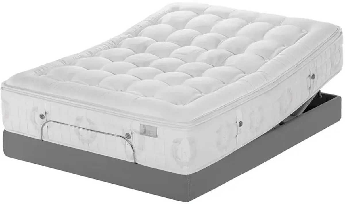 Kluft Signature Rose Ultra Plush Twin XL Mattress - Exclusive