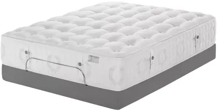 Kluft Signature Begonia Firm Twin Mattress & Box Spring Set - 100% Exclusive