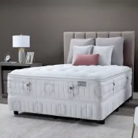 Kluft Signature Orchid Plush Twin Mattress & Box Spring Set - 100% Exclusive