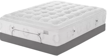 Kluft Signature Orchid Plush Twin Mattress & Box Spring Set - 100% Exclusive