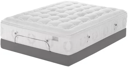 Kluft Signature Orchid Plush King Mattress & Box Spring Set - 100% Exclusive