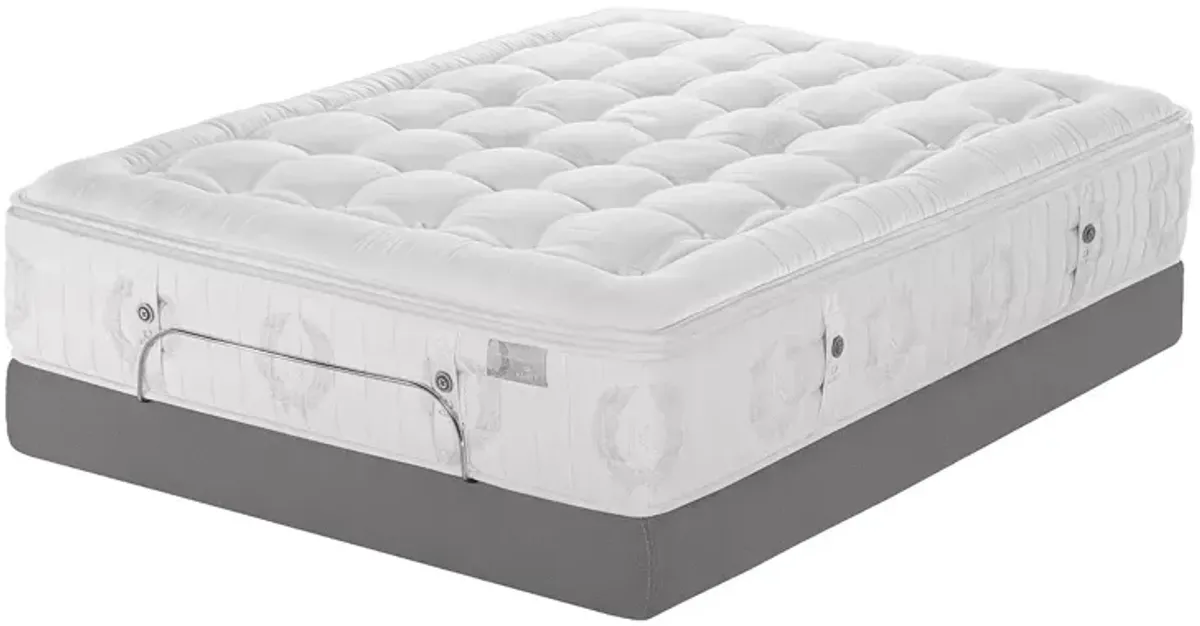 Kluft Signature Rose Ultra Plush King Mattress & Box Spring Set - Exclusive