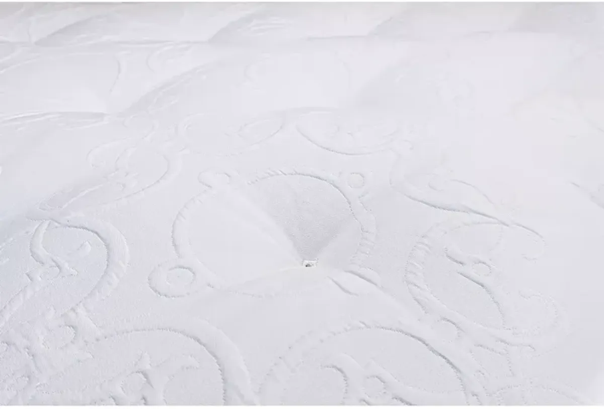 Shifman Authenticity Pure Awakening Renew Plush Queen Mattress