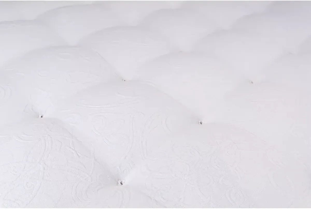 Shifman Authenticity Pure Slumber Balance Firm Queen Mattress & Box Spring Set - Exclusive