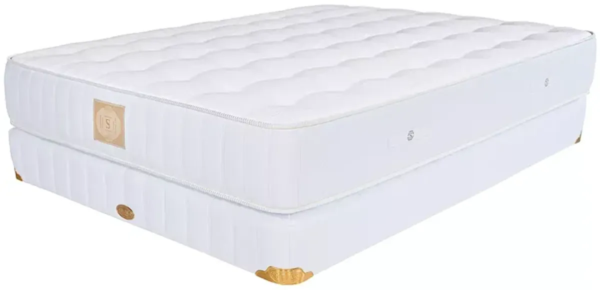 Shifman Authenticity Pure Slumber Balance Firm Queen Mattress & Box Spring Set - Exclusive