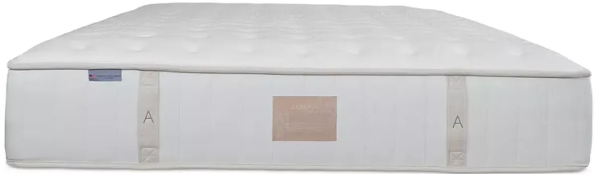 Asteria Hera Firm Twin Mattress 