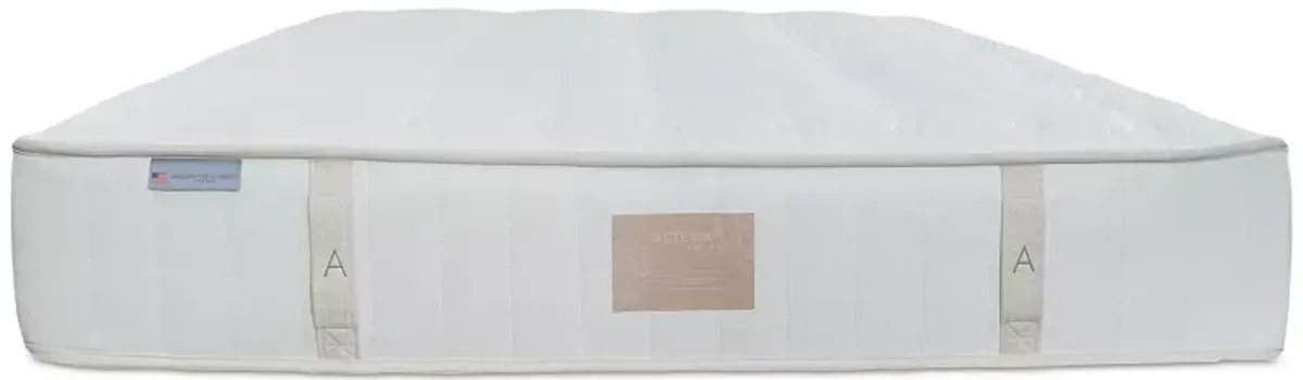 Asteria Natural Vari Extra Firm Full Mattress - Exclusive