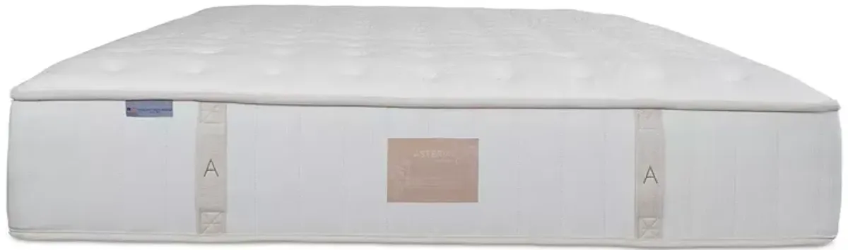Asteria Hera Firm Twin XL Set Slim Profile  