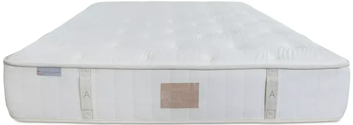 Asteria Artemis Luxury Firm Twin Mattress & Box Spring Set - Exclusive