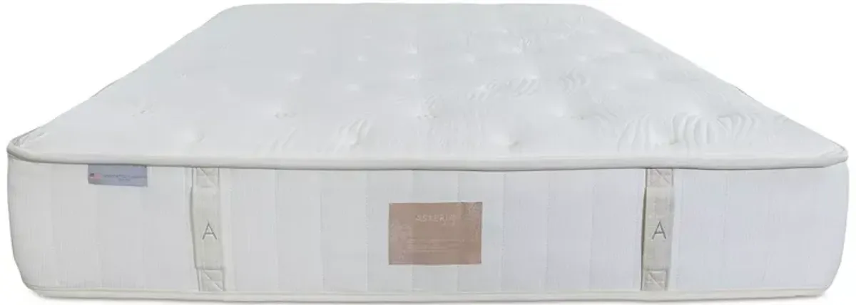 Asteria Artemis Luxury Firm Queen Mattress & Box Spring Set - Exclusive