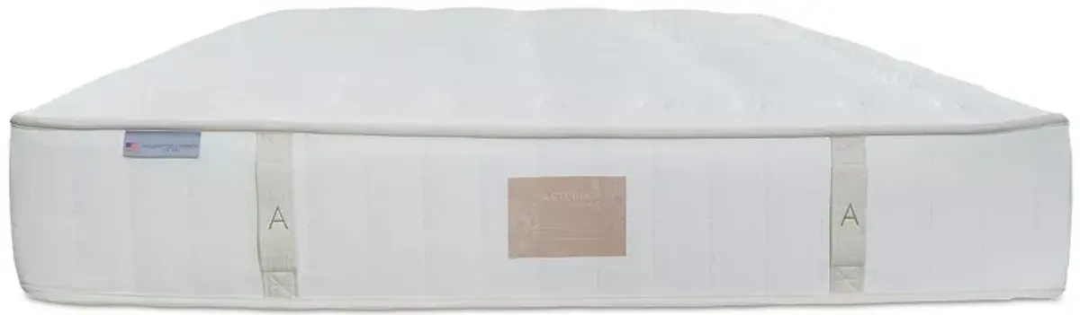 Asteria Natural Vari Extra Firm Queen Mattress with 9" Box Spring - Exclusive