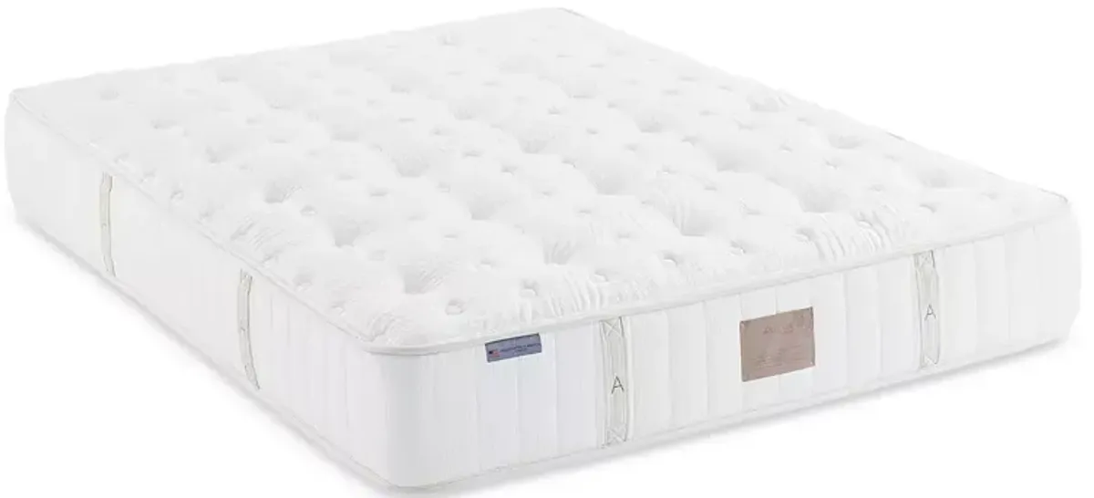 Asteria Natural Vari Extra Firm Queen Mattress with 5" Box Spring - Exclusive